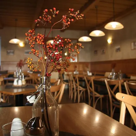 Pasecna 게스트하우스